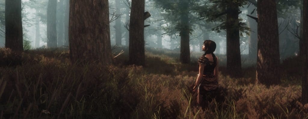 ENB mode for Skyrim SE