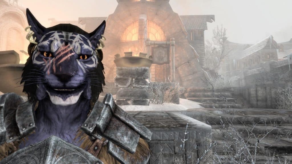 21 BEST Skyrim Follower Mods | Skyrim SE 2 inigo skyrim mode