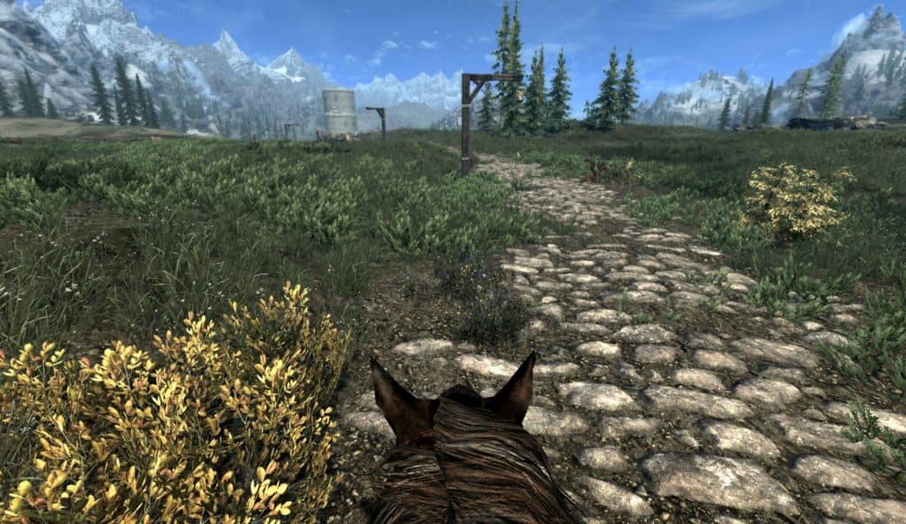 skyrim se enhanced camera