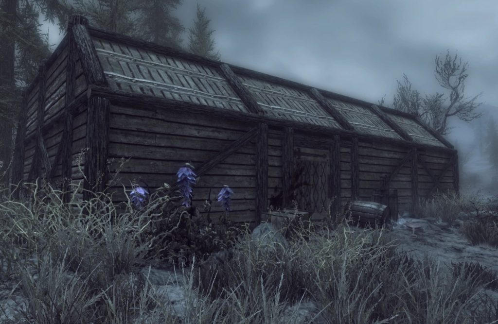 The Best House in Skyrim For Free (And For Coin) 5 Abandoned Shack