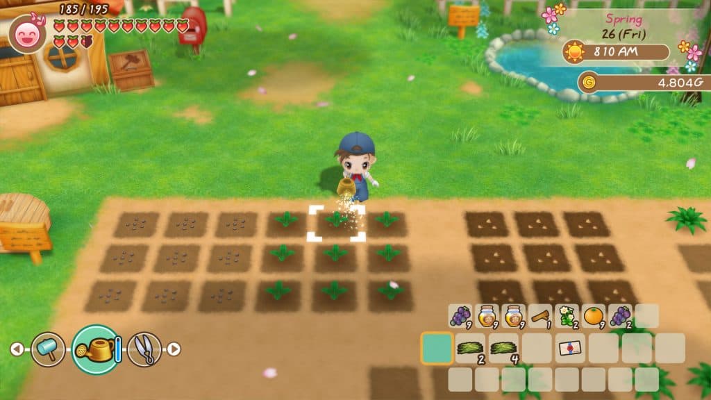 Story of Seasons Friends of Mineral Town