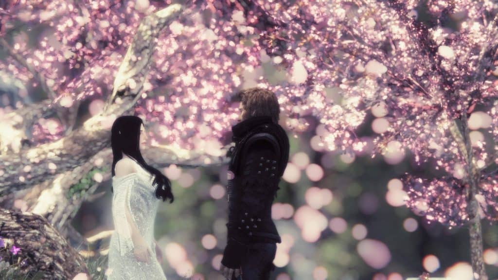 The Skyrim Romance Mod Incident - Everything You Need To Know 2 skyrim romance